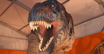 フジテレビと福井恐竜博物館がコラボ。「オダイバ恐竜博覧会2024」が開催中！
