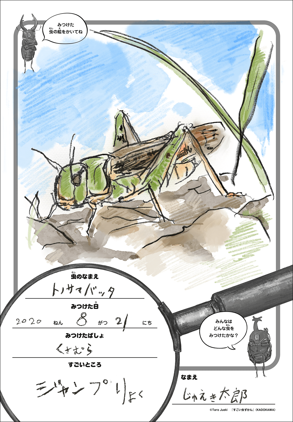 すごい虫ずかん オリジナル昆虫観察シート をダウンロードしよう ヨメルバ Kadokawa児童書ポータルサイト