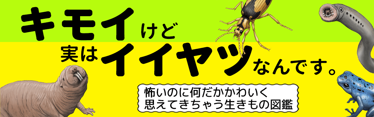 キモイけど実はイイヤツなんです 世界最強のむくみ生物 ヨメルバ Kadokawa児童書ポータルサイト
