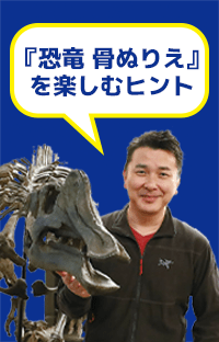 古生物学者の小林快次先生がみんなの質問にこたえます！