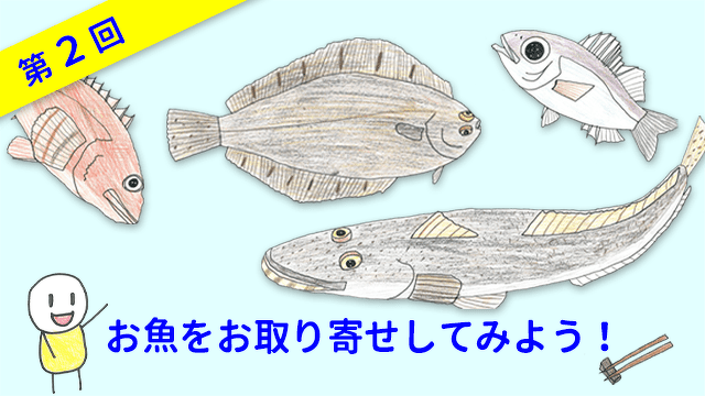 ととけん1級史上最年少合格 伊藤柚貴のおいしいお魚でなに作る？　第2回　お魚をお取り寄せしてみよう！