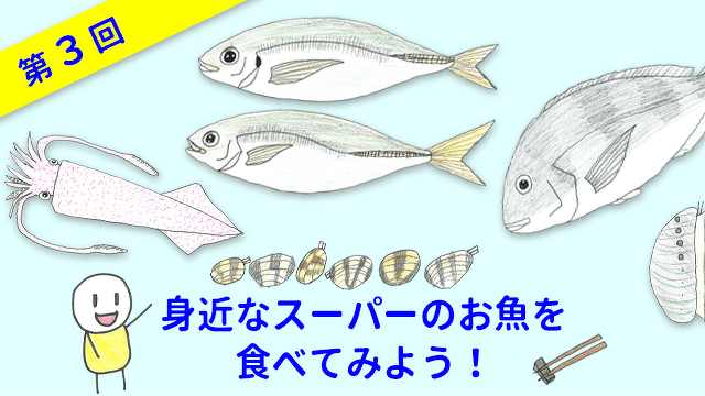 ととけん1級史上最年少合格 伊藤柚貴のおいしいお魚でなに作る？　第3回　身近なスーパーのお魚を食べてみよう！
