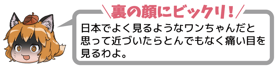 裏の顔にビックリ!