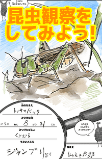 【昆虫観察日記をつけよう！】夏休みの自由研究にチャレンジ！