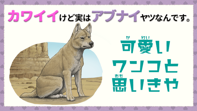 カワイイけど実はアブナイヤツなんです。③　可愛いワンコと思いきや