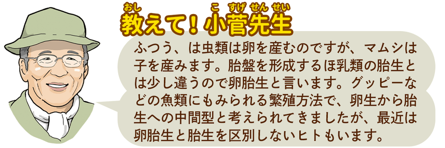 教えて!小菅先生