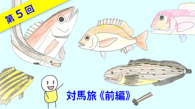 ととけん1級史上最年少合格 伊藤柚貴のおいしいお魚でなに作る？　第5回　対馬旅《前編》