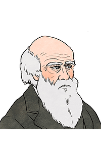 【「今日って何の日！？」】11月24日はチャールズ・ダーウィンの『種の起源』がイギリスで出版された日です