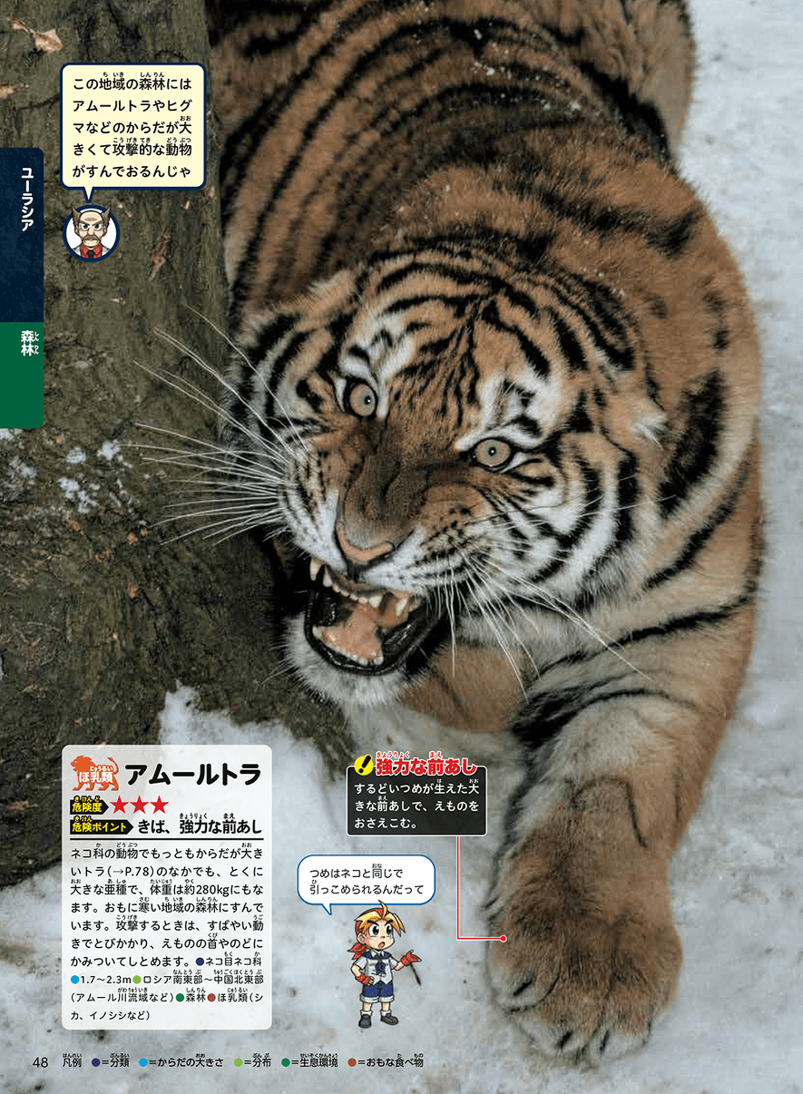 年賀状にも使える 22年の干支 トラのちょっとドヤれる豆ちしきクイズ ヨメルバ Kadokawa児童書ポータルサイト