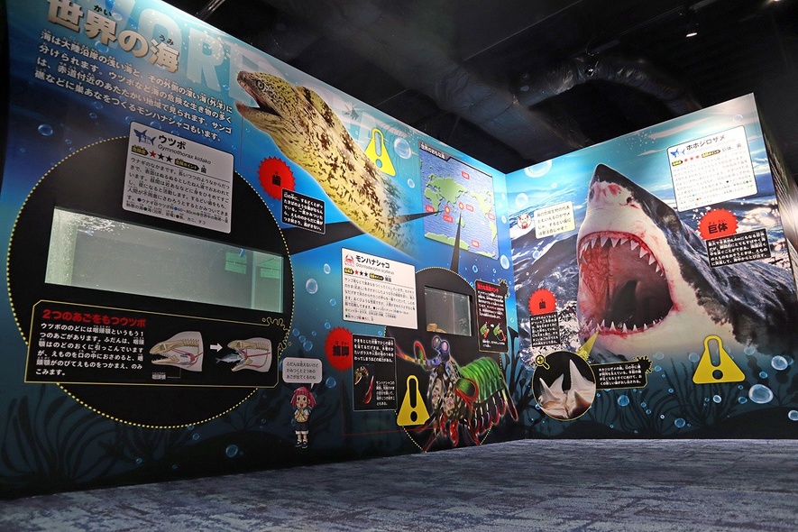 展示ブース