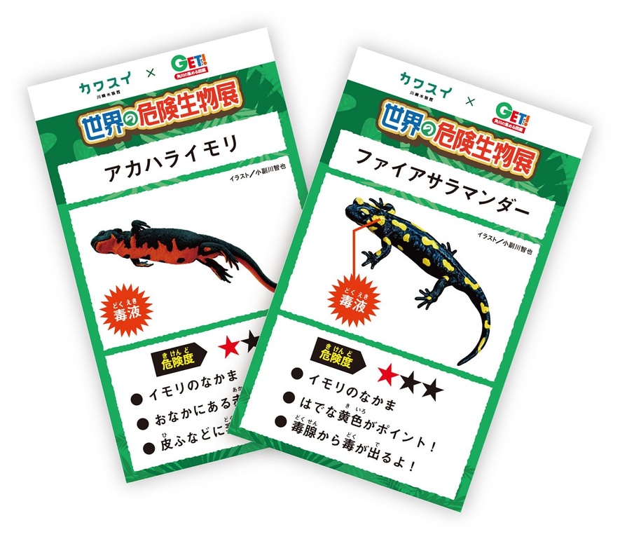 限定カード