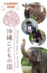 ハイサイ探偵団とコラボも！　 日本最南端の動物園「沖縄こどもの国」がすごいぞ！