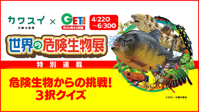 危険生物からの挑戦！ ３択クイズ 第9問