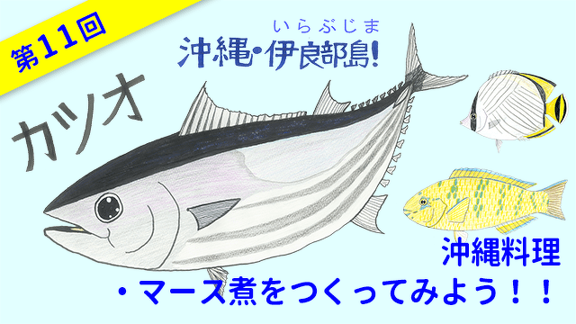 ととけん1級史上最年少合格 伊藤柚貴のおいしいお魚でなに作る？　第11回　沖縄料理・マース煮をつくってみよう！！