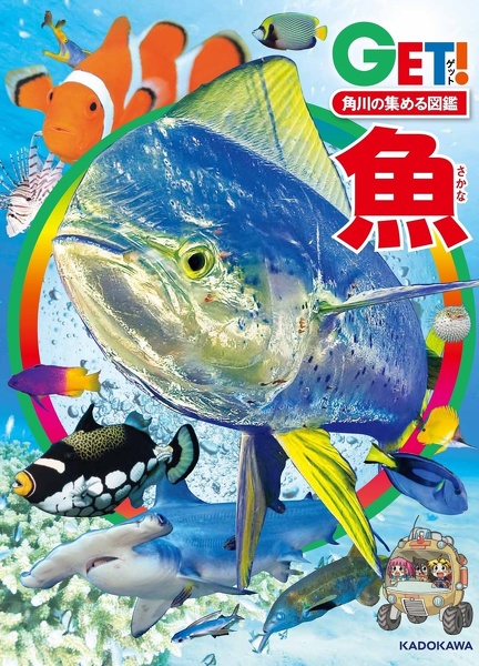 淡水魚1号〜12号　終刊号　淡水魚保護総合事業報告　14冊 アクアライフ 12月号 (発売日2022年11月11日) | 雑誌/電子書籍