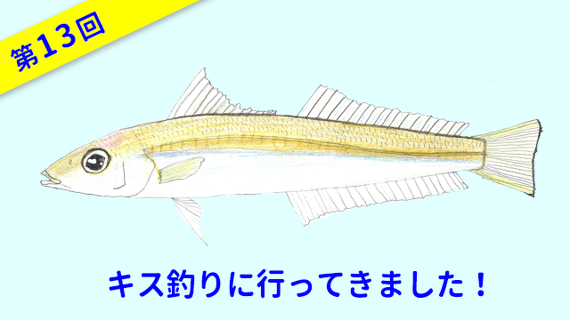 ととけん1級史上最年少合格 伊藤柚貴のおいしいお魚でなに作る？　第13回　キス釣りに行ってきました！