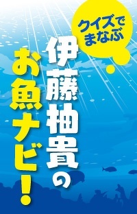 クイズでまなぶ　伊藤柚貴のお魚ナビ！　第３問　３択クイズ