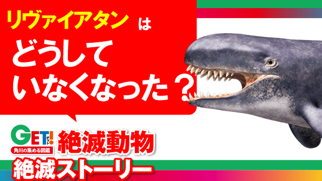 どうしていなくなった？『GET! 絶滅動物』絶滅ストーリー 第４回　リヴァイアタン