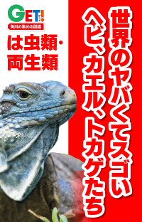あなたの身近にもひそんでいるかもしれない危険なカメ!!　「世界のヤバくてスゴいヘビ、カエル、トカゲたち」　第４回　ワニガメ