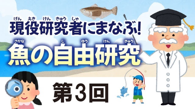 ハリセンボンの針をかぞえよう！【現役研究者にまなぶ！魚の自由研究　第３回】