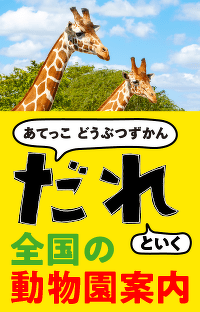 参加型アートのワークショップを随時開催！　野生動物が暮らす痕跡を見つけ、つながりを感じよう【岩手県・盛岡市動物公園ZOOMO】『あてっこ どうぶつずかん　だれ』といく　全国の動物園案内 No.10