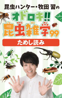 ゲンゴロウモドキ・ダイコクコガネ・オニヤンマ 「昆虫ハンター・牧田 習のオドロキ!!昆虫雑学99」第1回