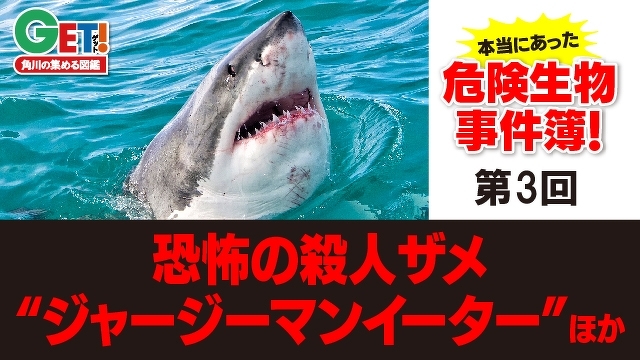 恐怖の殺人ザメ“ジャージーマンイーター”ほか「本当にあった危険生物事件簿！」第３回