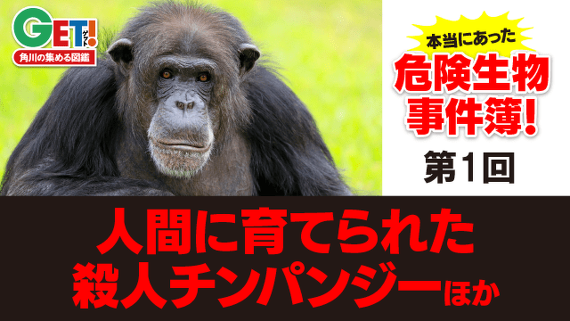 人間に育てられた殺人チンパンジーほか「本当にあった危険生物事件簿！」第１回