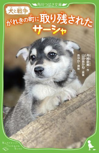 書影