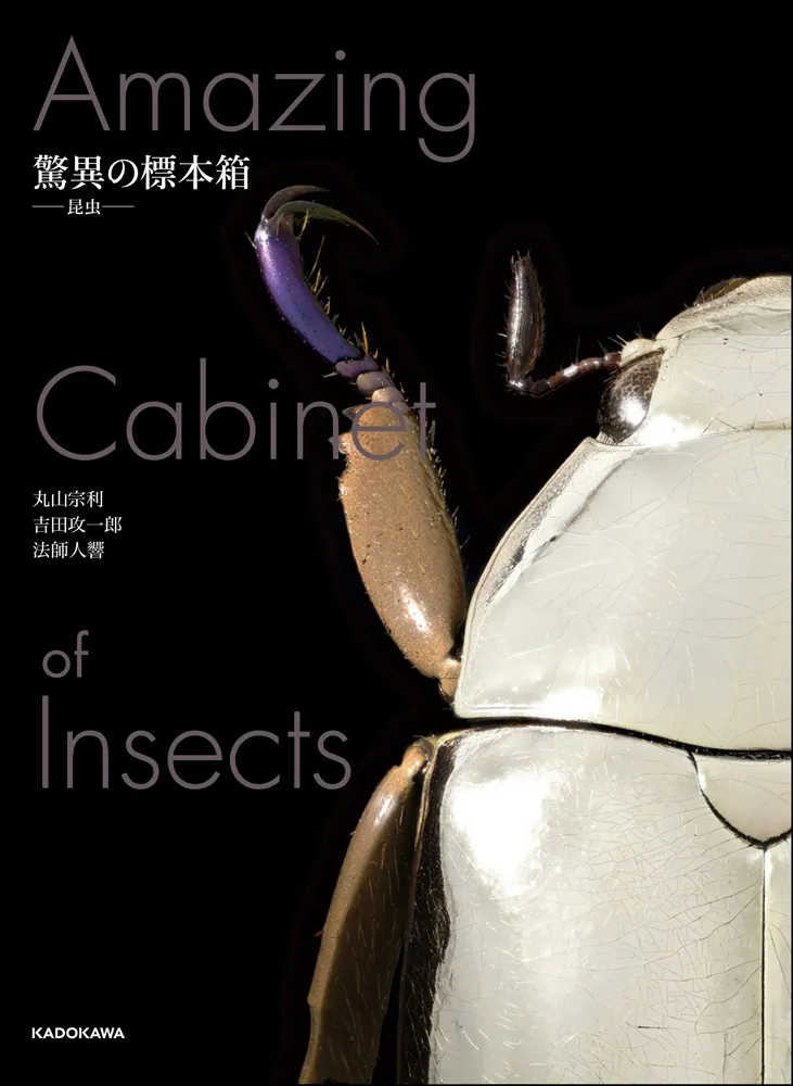 書影