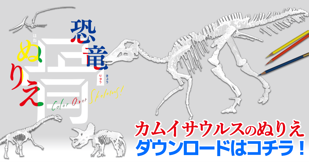 恐竜 骨ぬりえ カムイサウルス むかわ竜 のぬりえ無料ダウンロード ヨメルバ Kadokawa児童書ポータルサイト