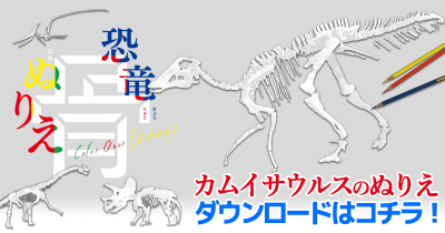 『恐竜 骨ぬりえ』カムイサウルス（むかわ竜）のぬりえ無料ダウンロード
