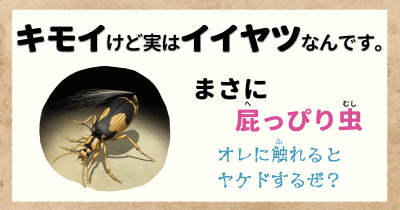 キモイけど実はイイヤツなんです④ まさに屁っぴり虫