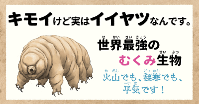 キモイけど実はイイヤツなんです① 世界最強のむくみ生物