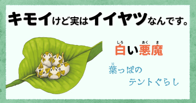 キモイけど実はイイヤツなんです⑥ 白い悪魔
