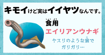 キモイけど実はイイヤツなんです⑨ 食用エイリアンウナギ