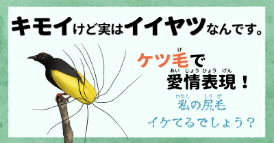 キモイけど実はイイヤツなんです⑤ ケツ毛で愛情表現!