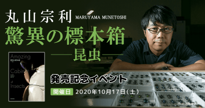 丸山宗利『驚異の標本箱 -昆虫-』発売記念イベント開催!