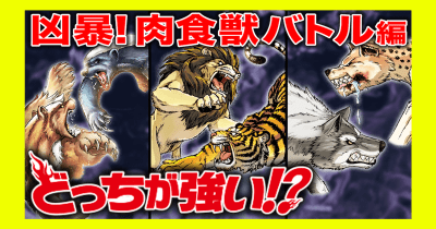 『どっちが強い!?』ダイジェストムービー【凶暴!肉食獣バトル編】