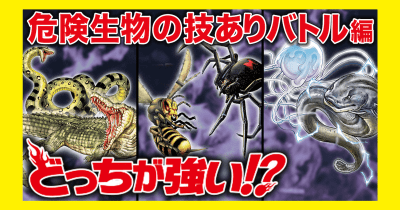 『どっちが強い!?』ダイジェストムービー【危険生物の技ありバトル編】