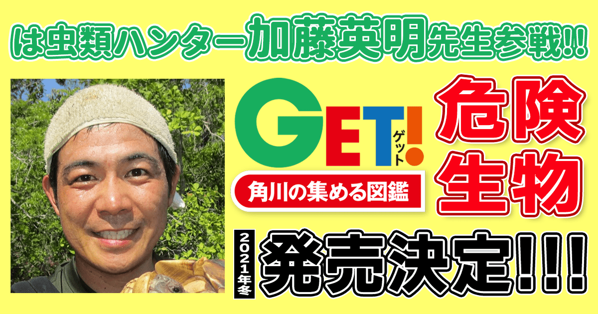 は虫類ハンター 加藤英明先生も参戦 角川の集める図鑑get 危険生物 発売決定 ヨメルバ Kadokawa児童書ポータルサイト