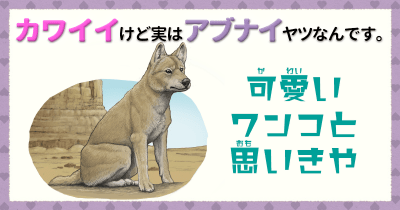 カワイイけど実はアブナイヤツなんです。③ 可愛いワンコと思いきや