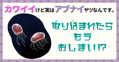 カワイイけど実はアブナイヤツなんです。④ 取り込まれたら もうおしまい!?