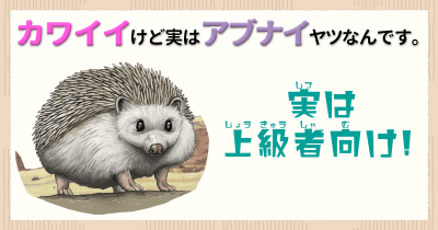 カワイイけど実はアブナイヤツなんです。⑥ 実は上級者向け⁉