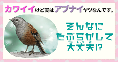 カワイイけど実はアブナイヤツなんです。⑧ そんなにたぶらかして大丈夫⁉