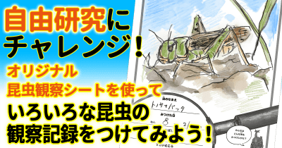 【昆虫観察日記をつけよう!】夏休みの自由研究にチャレンジ!