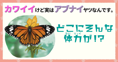 カワイイけど実はアブナイヤツなんです。⑩どこにそんな体力が⁉