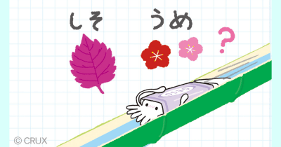 ケシっこなぞなぞ 第12問