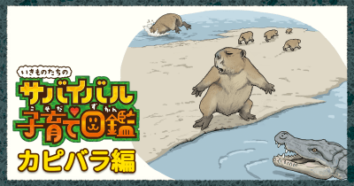 いきものたちのサバイバル子育て 第4回/カピバラ編