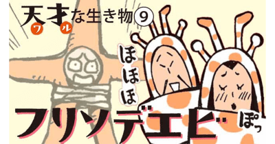 天才(ワル)すぎる生き物図鑑⑨ ヒトデ狩りの天才(ワル)フリソデエビ